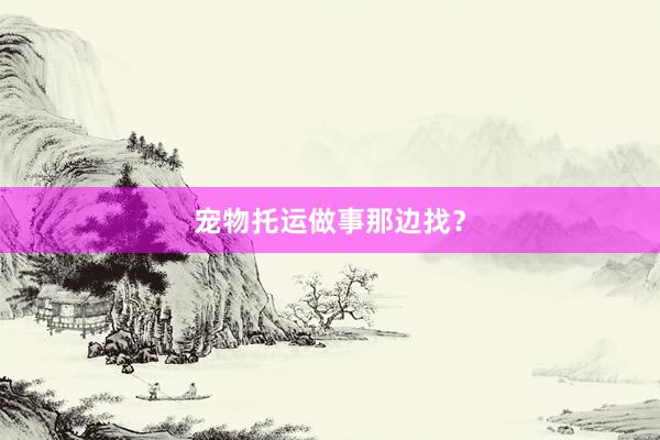 宠物托运做事那边找？