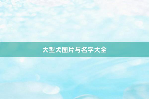 大型犬图片与名字大全